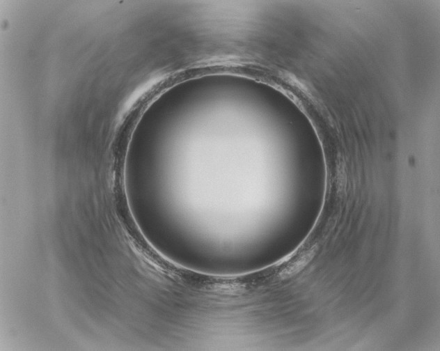 X0000059091406200510172043