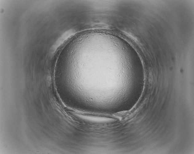 X0000059091407200510172043