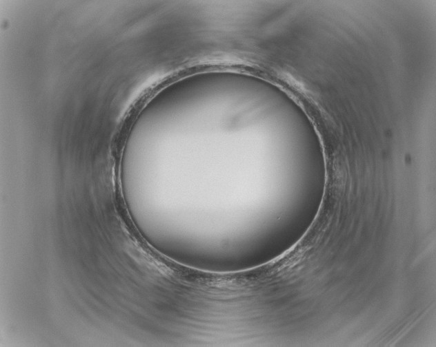 X0000059091408200510172043