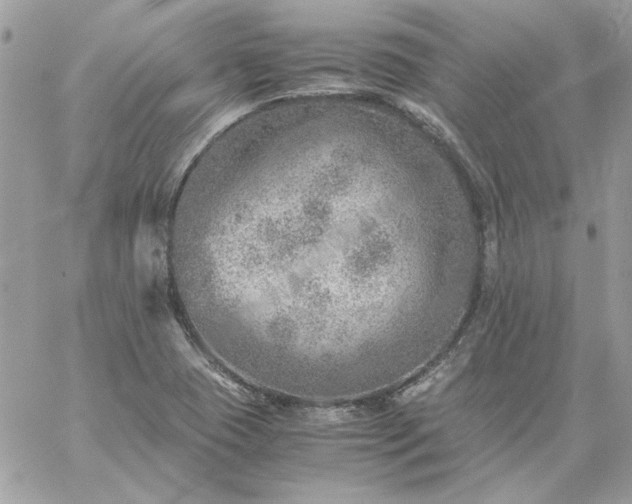 X0000059091409200510172043