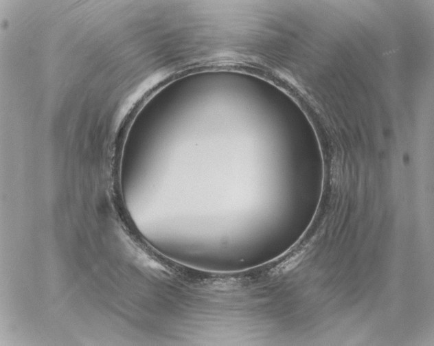 X0000059091410200510172043