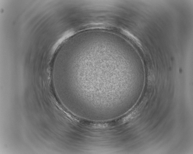 X0000059091411200510172043