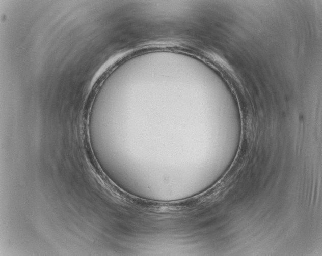 X0000059091412200510172043