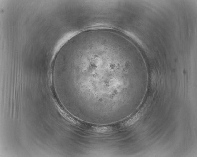 X0000059091413200510172043