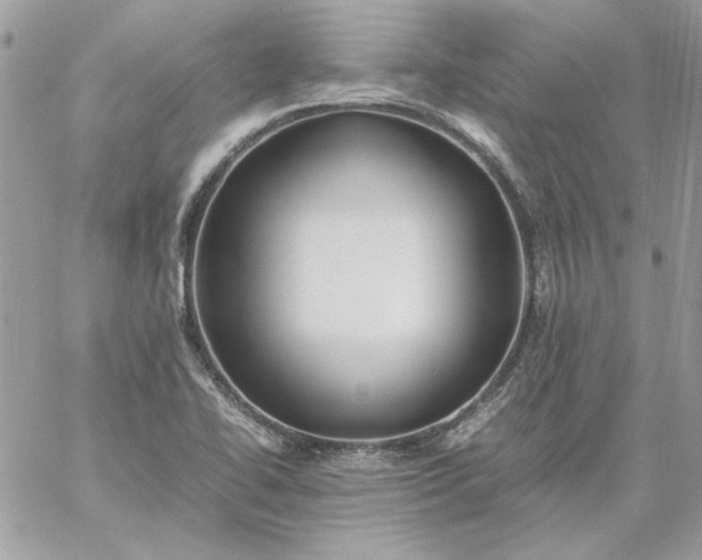 X0000059091414200510172043