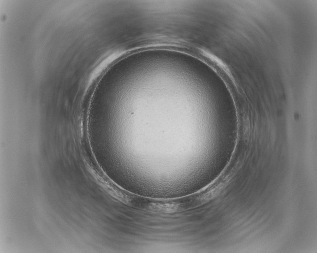 X0000059091415200510172043