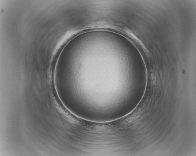 X0000059091416200510172043