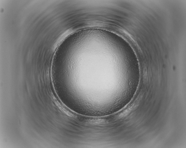 X0000059091417200510172043