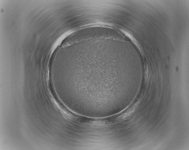 X0000059091418200510172043