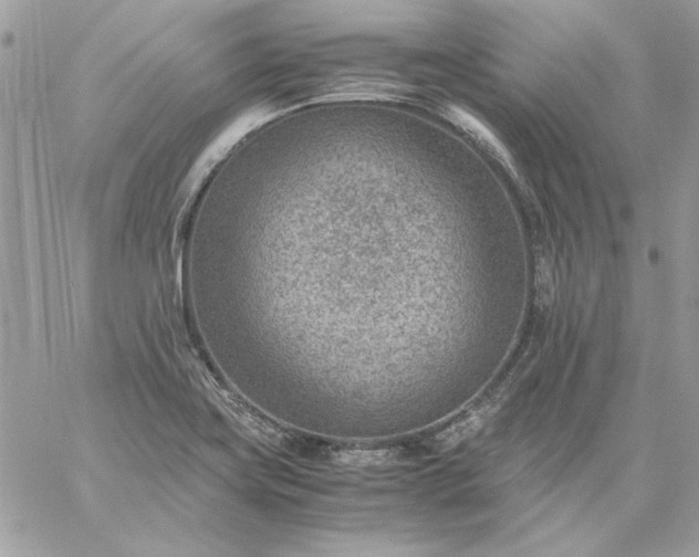 X0000059091419200510172043