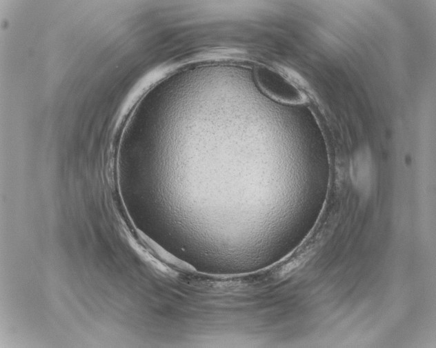 X0000059091421200510172043