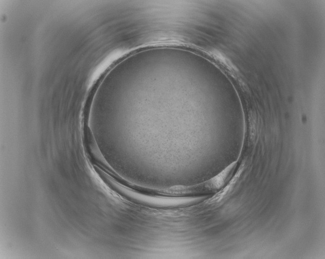 X0000059091422200510172043