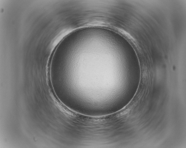 X0000059091423200510172043