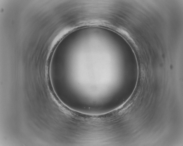 X0000059091424200510172043