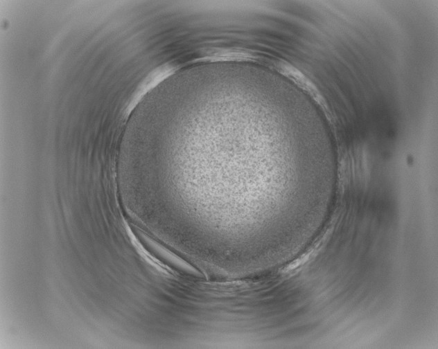 X0000059091425200510172043