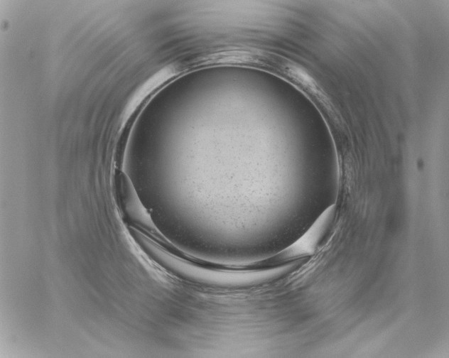 X0000059091426200510172043