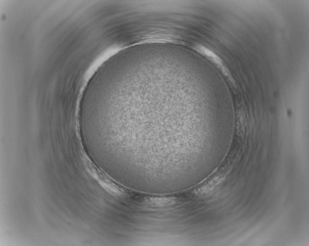 X0000059091427200510172043