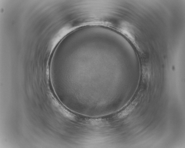 X0000059091428200510172043