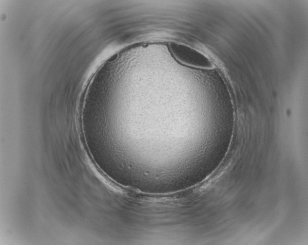 X0000059091429200510172043