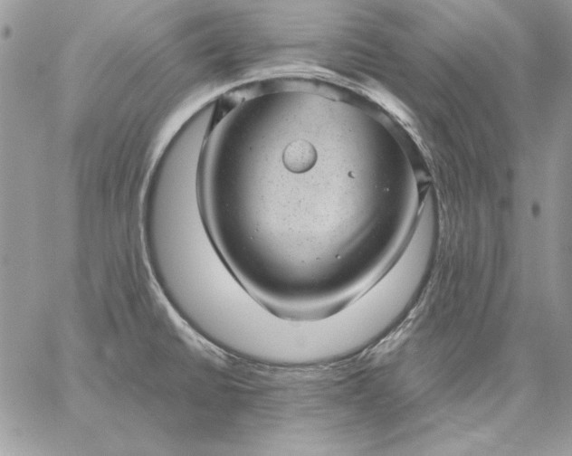 X0000059091430200510172043