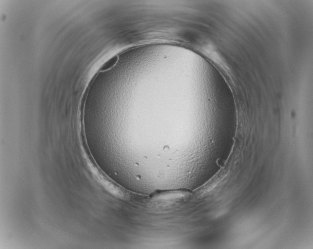 X0000059091431200510172043