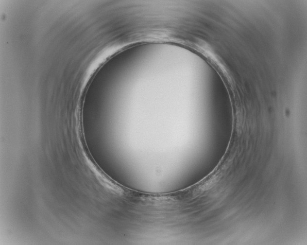 X0000059091432200510172043