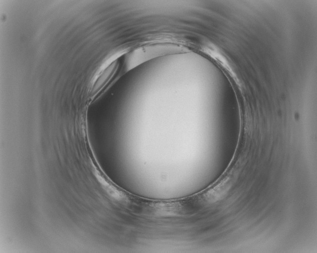 X0000059091433200510172043