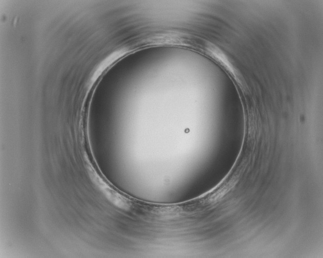 X0000059091434200510172043