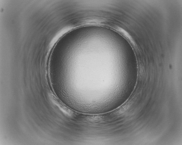 X0000059091435200510172043