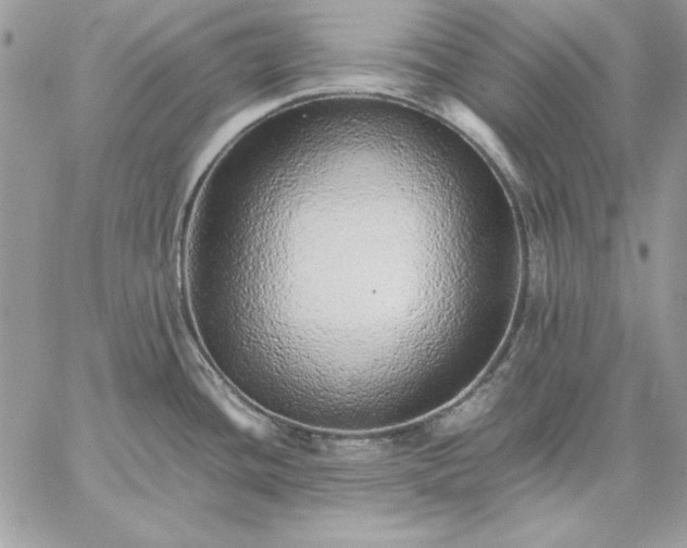 X0000059091436200510172043