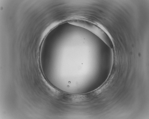 X0000059091437200510172044