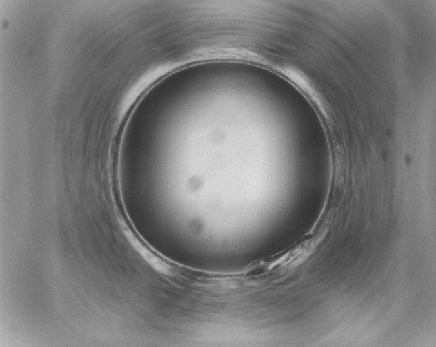 X0000059091438200510172044