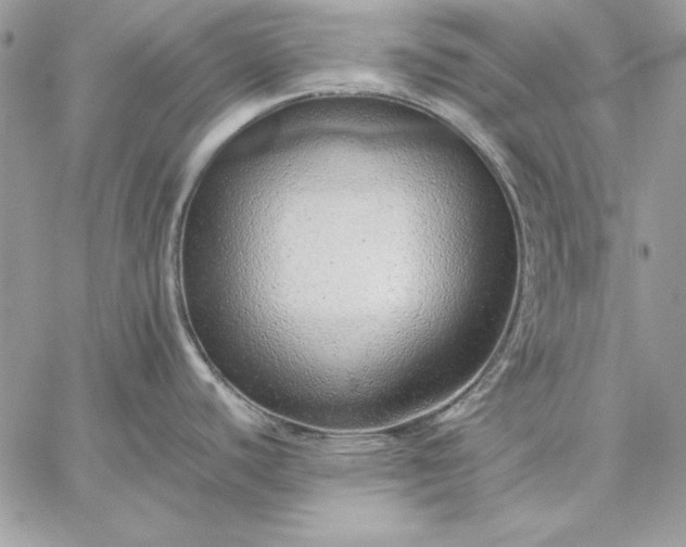 X0000059091440200510172044