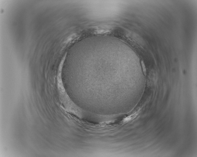 X0000059091441200510172043