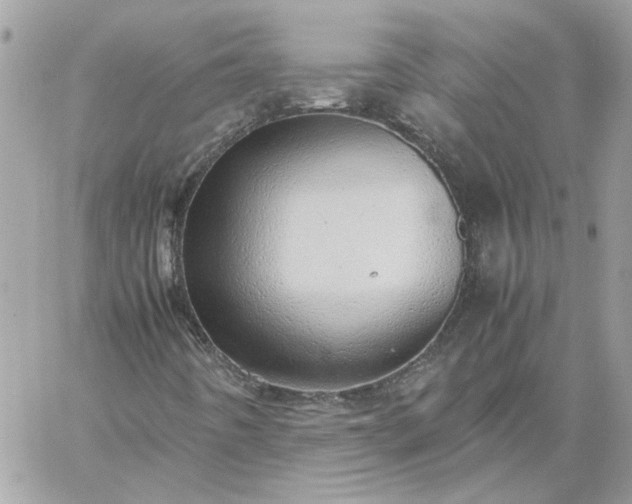 X0000059091442200510172043