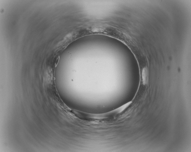 X0000059091443200510172043