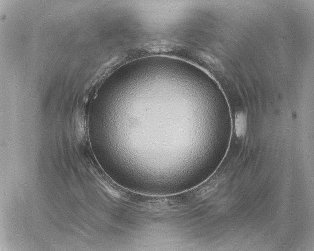 X0000059091444200510172043