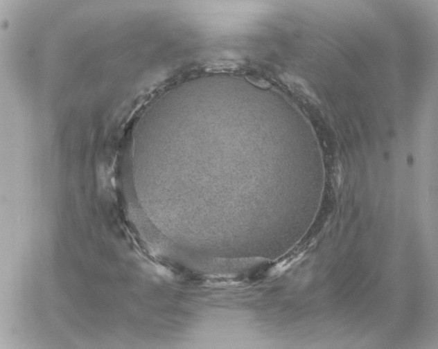 X0000059091445200510172043