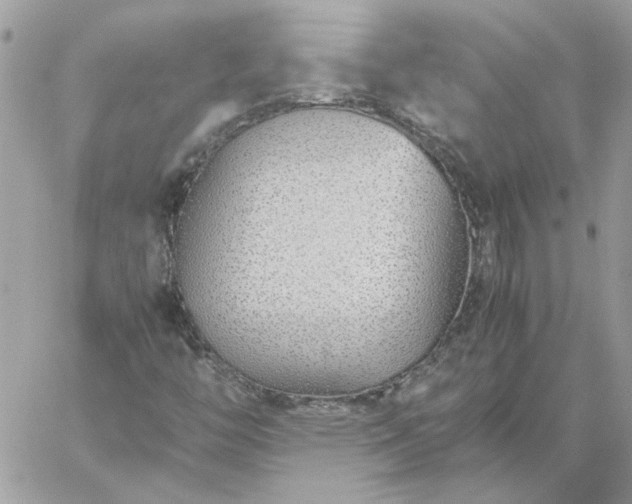 X0000059091446200510172043