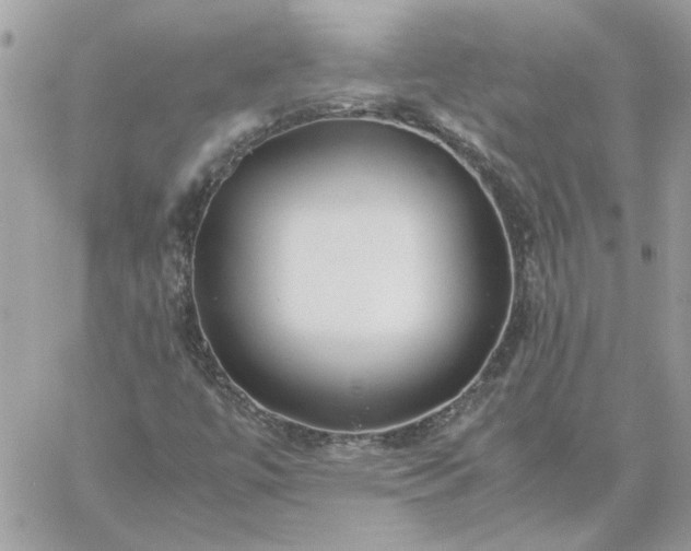 X0000059091447200510172043