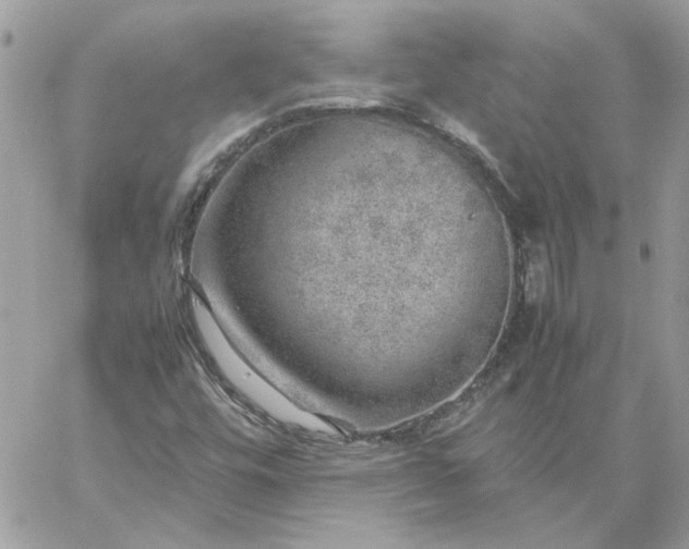 X0000059091448200510172043