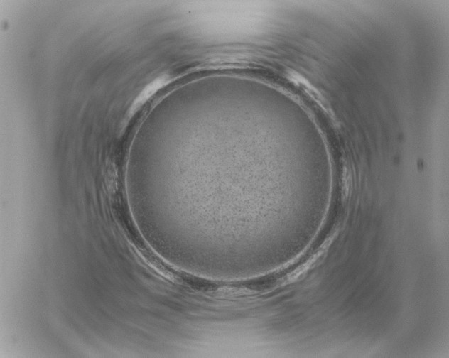 X0000059091449200510172043