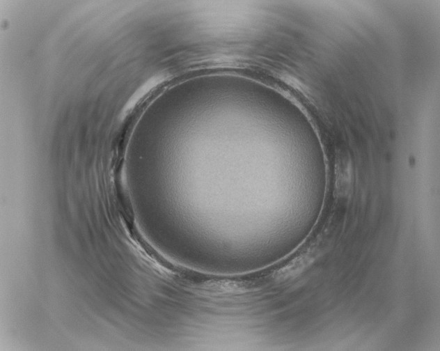 X0000059091450200510172043