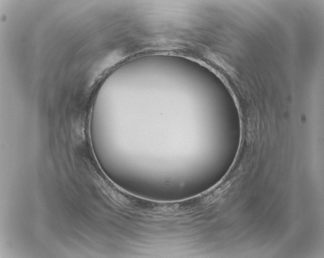 X0000059091451200510172043