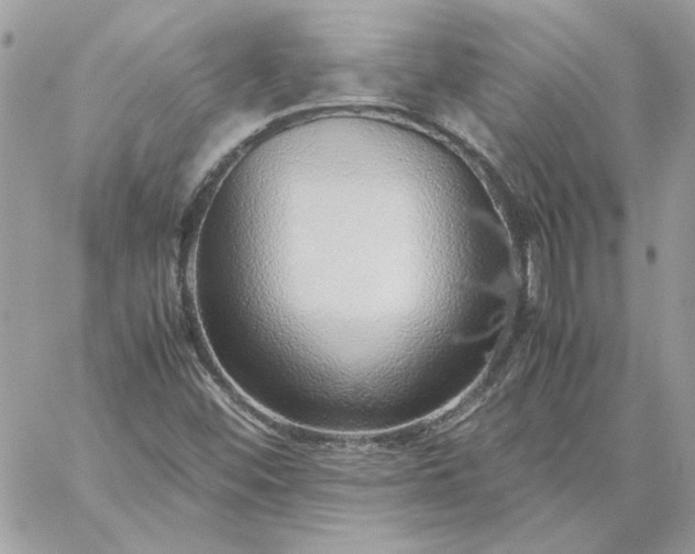 X0000059091452200510172043