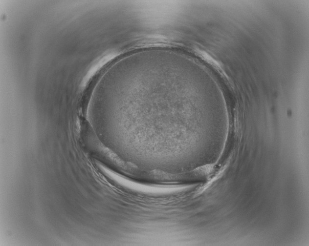 X0000059091453200510172043