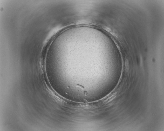 X0000059091454200510172043