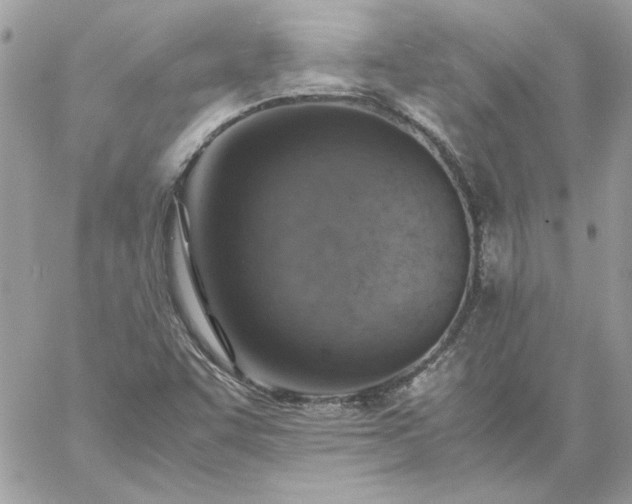 X0000059091455200510172043