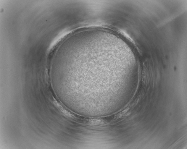 X0000059091456200510172043