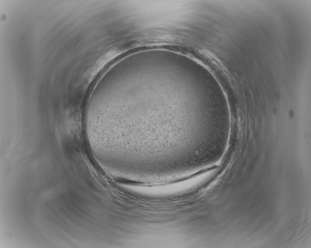 X0000059091457200510172042